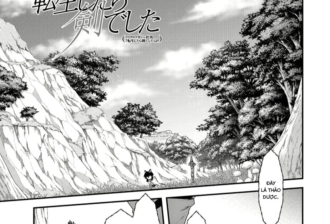 Khi Tôi Chuyển Sinh Thành Một Thanh Kiếm Chapter 8 - 2