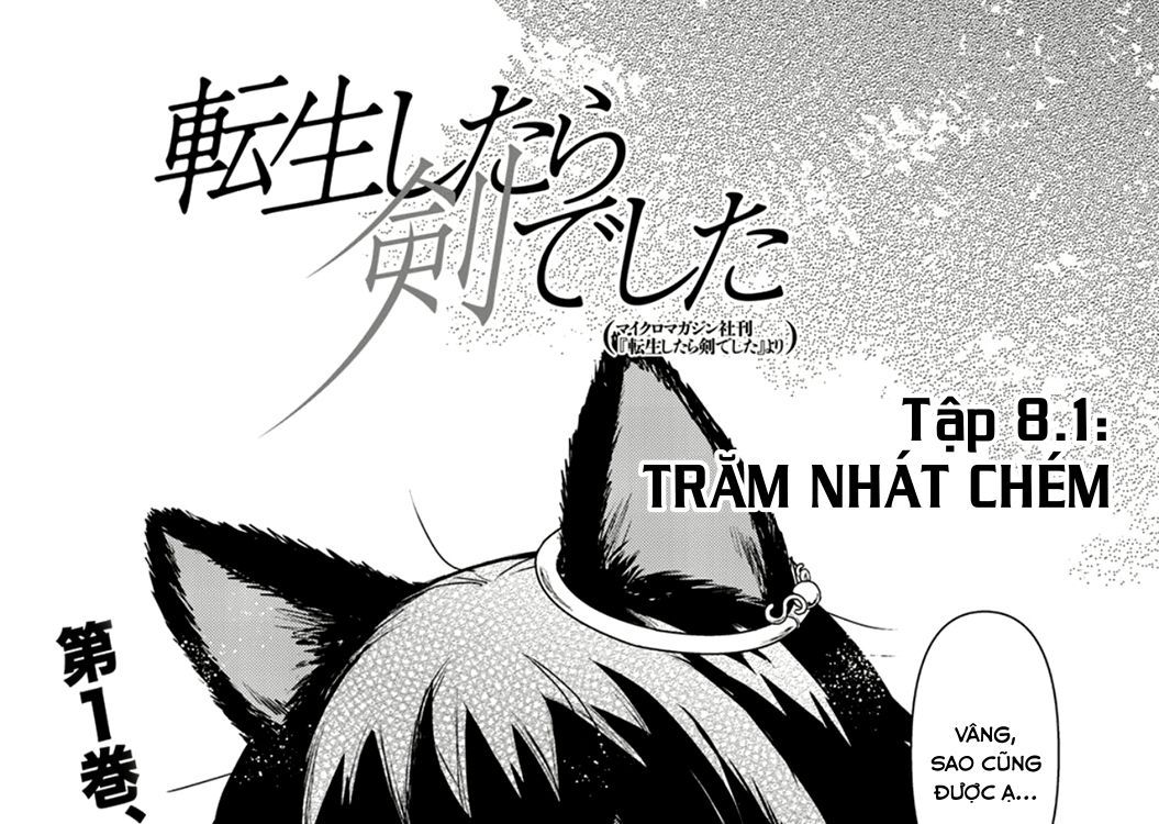 Khi Tôi Chuyển Sinh Thành Một Thanh Kiếm Chapter 8 - 4