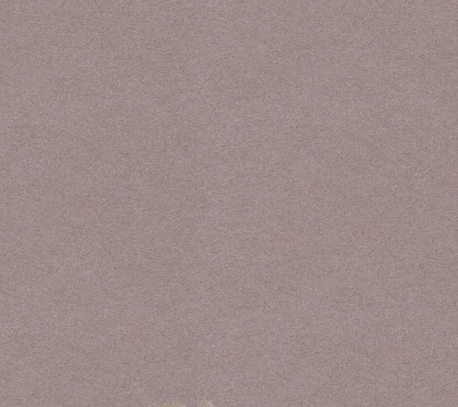 Phép Thuật Của Người Trở Về Phải Đặc Biệt Chapter 114 - 9