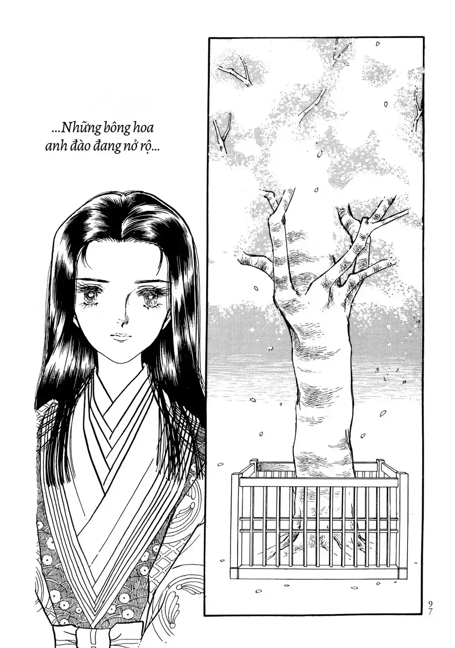 The Tale Of Genji: Dreams At Dawn Chapter 8 - 3