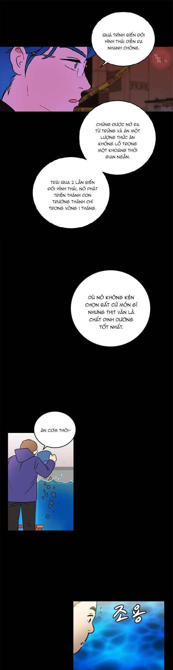 Cô Nàng Pháp Sư Chapter 25 - 19