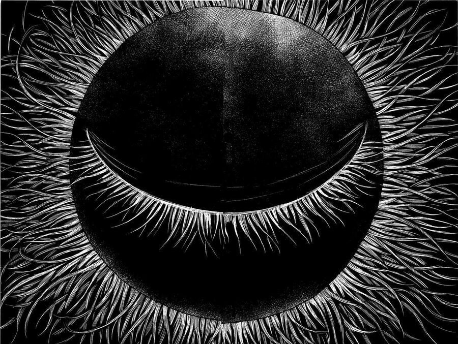 Aku No Hana – Những Bông Hoa Ác Chapter 33 - 39