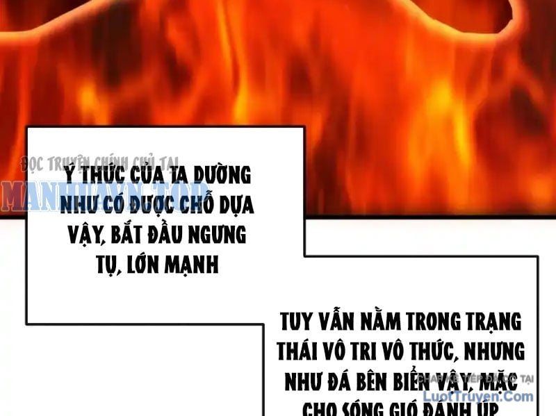 Ta Mô Phỏng Con Đường Trường Sinh Chapter 22 - 40