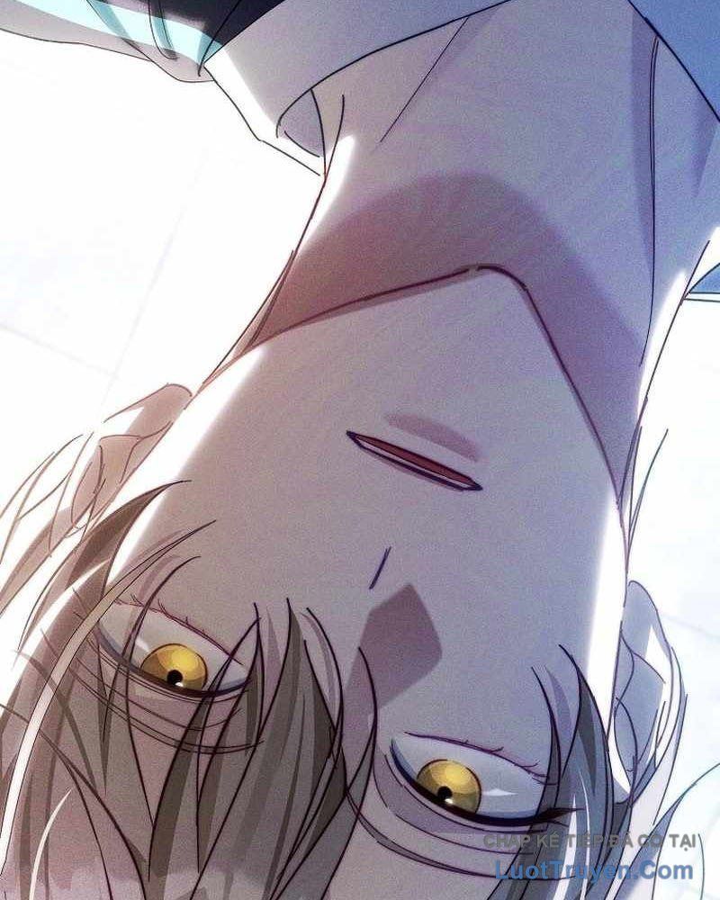 Kế Hoạch May Mắn Của Thần Tượng Ở Kiếp Thứ Hai Chapter 14 - 143