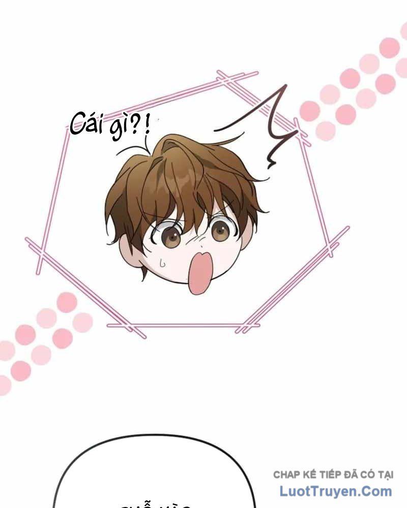 Kế Hoạch May Mắn Của Thần Tượng Ở Kiếp Thứ Hai Chapter 16 - 72