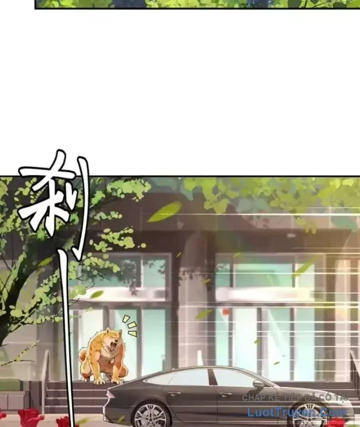 Cuộc Đời Mạt Thế Hoàn Mỹ Của Tôi Chapter 44 - 50