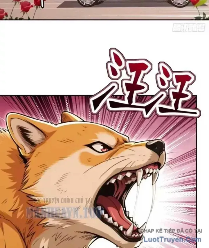 Cuộc Đời Mạt Thế Hoàn Mỹ Của Tôi Chapter 44 - 51