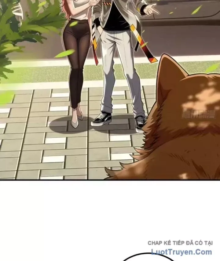 Cuộc Đời Mạt Thế Hoàn Mỹ Của Tôi Chapter 44 - 53