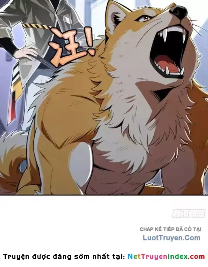 Cuộc Đời Mạt Thế Hoàn Mỹ Của Tôi Chapter 45 - 22