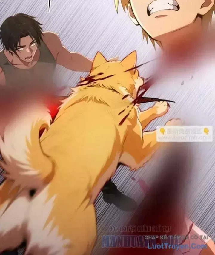 Cuộc Đời Mạt Thế Hoàn Mỹ Của Tôi Chapter 45 - 72