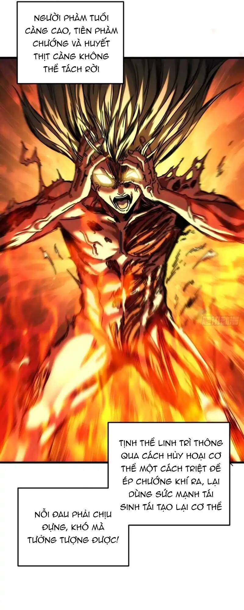 Ta Mô Phỏng Trường Sinh Lộ Chapter 22 - 16