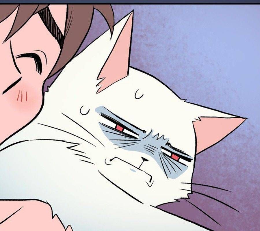 Morgana And Oz Chapter 52 - 81