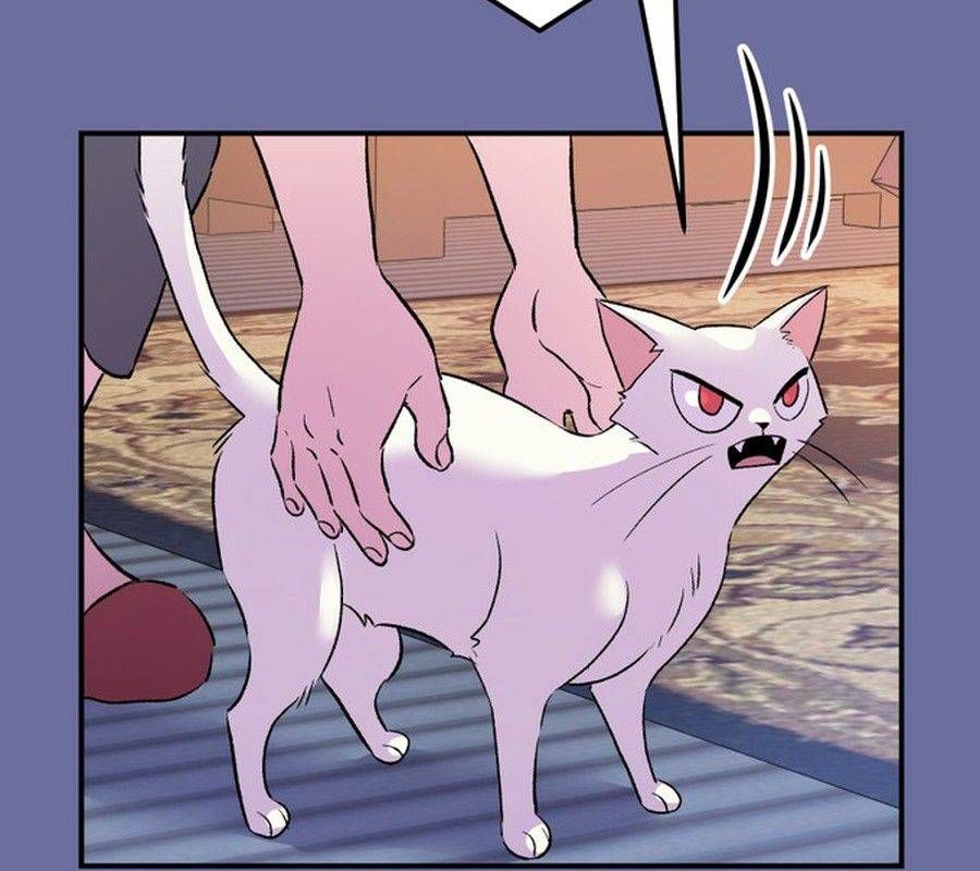 Morgana And Oz Chapter 53 - 84