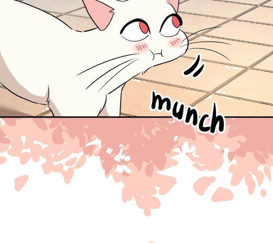 Morgana And Oz Chapter 55 - 80