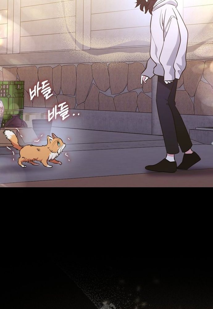 Kẻ Trộm Bóng Đêm Và Cuộc Hôn Nhân Giả Với Điều Tra Viên Chapter 2 - 52