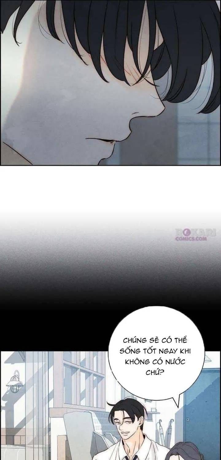 Chưa Từng Chạm Tới Em Chapter 10 - 29