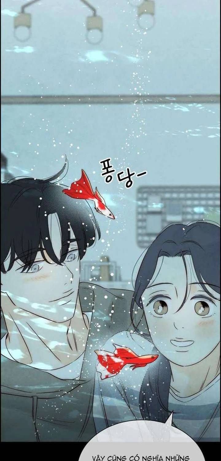 Chưa Từng Chạm Tới Em Chapter 10 - 31