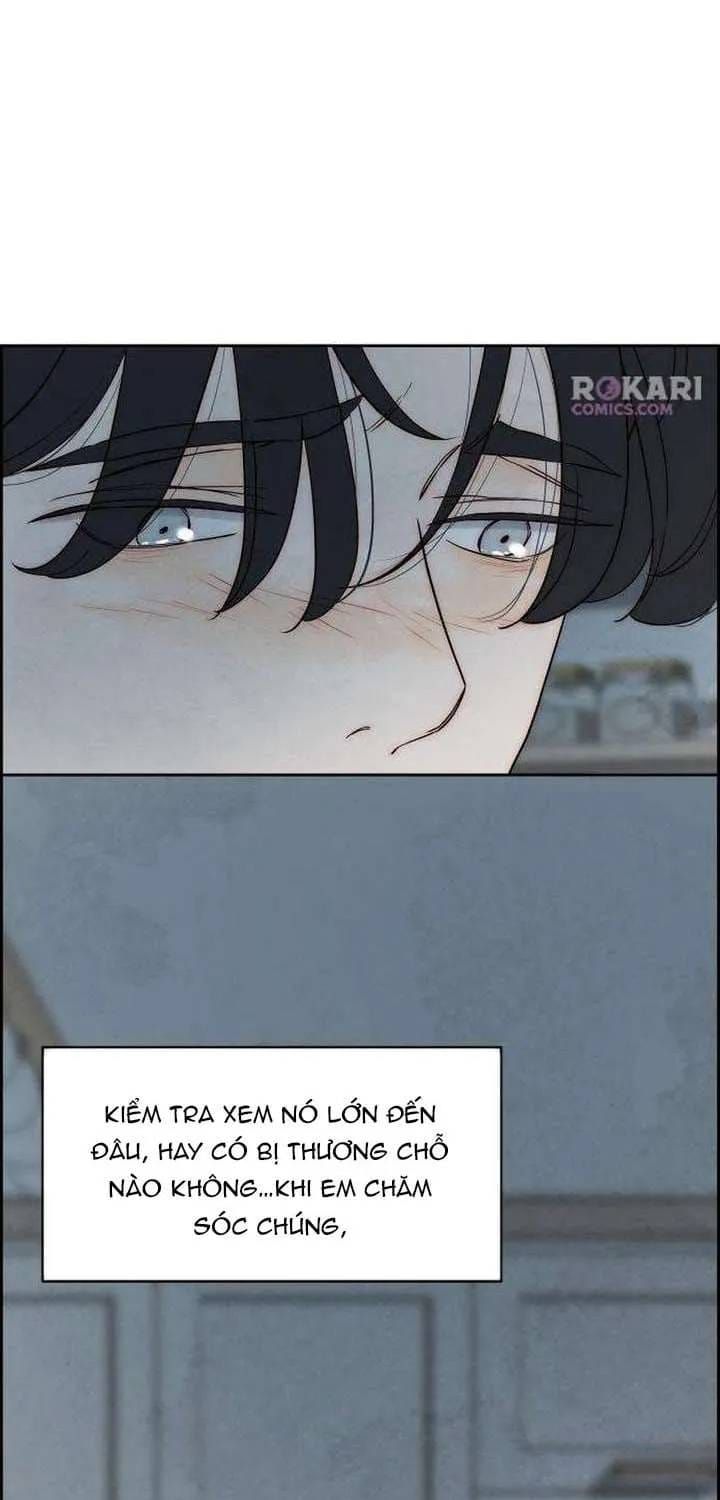 Chưa Từng Chạm Tới Em Chapter 10 - 53