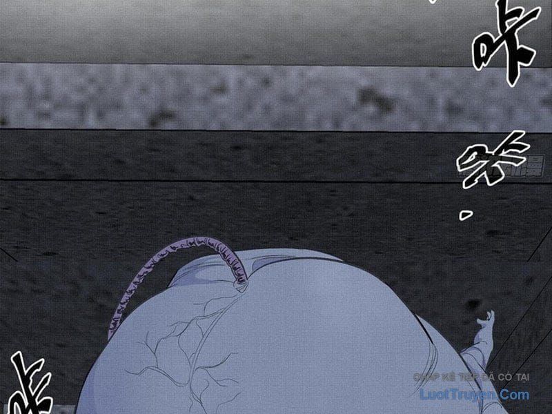 Sắc Lệnh Săn Thần Chapter 11 - 60