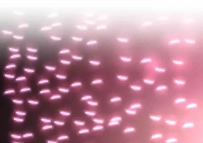 Lây Nhiễm - Làm Sóng Zombie Chapter 15 - 139