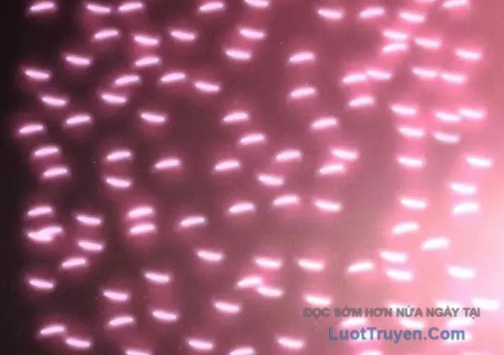 Lây Nhiễm - Làm Sóng Zombie Chapter 15 - 142