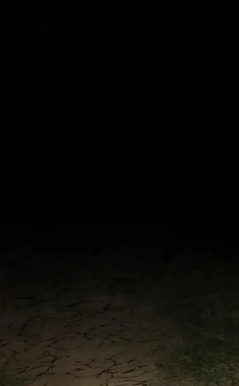 Kỵ Sĩ Lang Thang Chapter 27 - 126