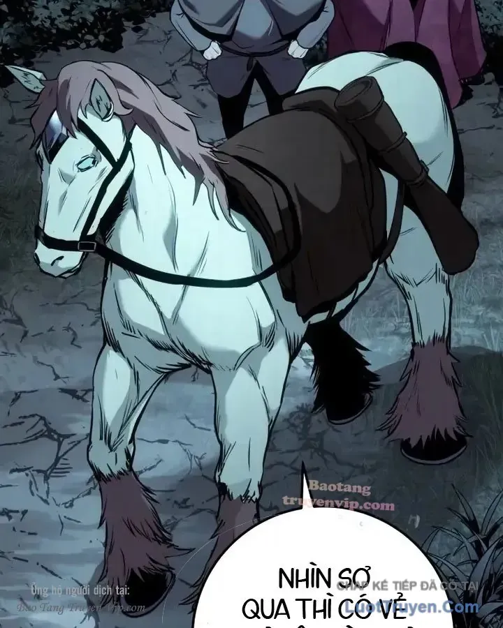 Kỵ Sĩ Lang Thang Chapter 31 - 49