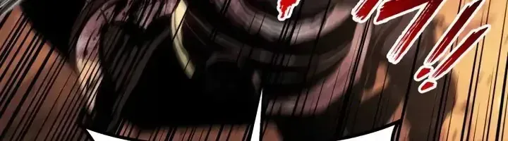 Kỵ Sĩ Lang Thang Chapter 32 - 265