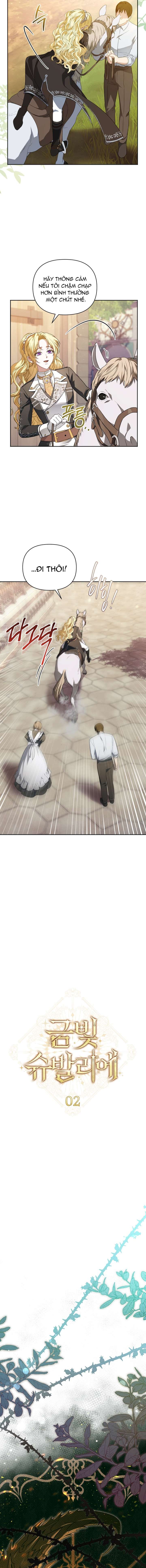 Hiệp Sĩ Vàng Chapter 2 - 5