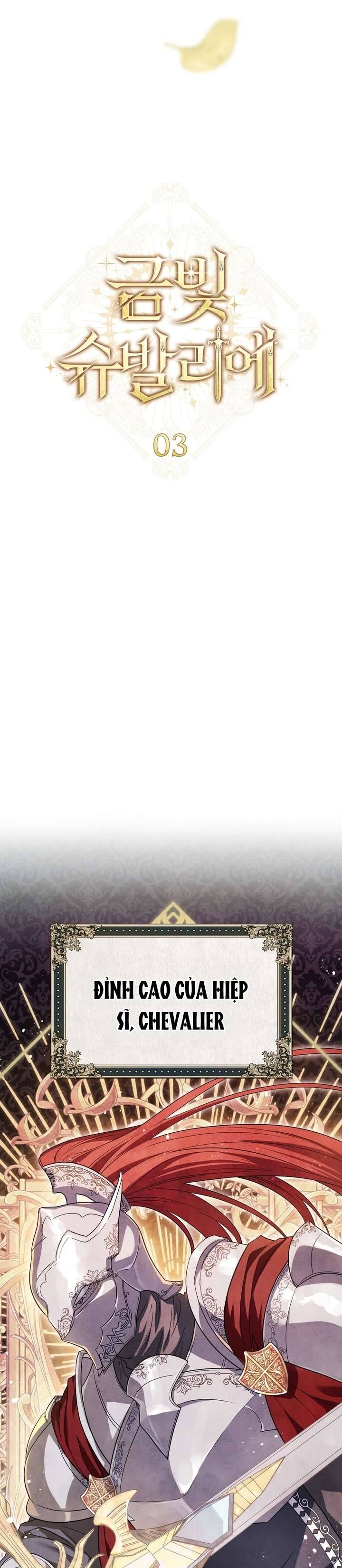 Hiệp Sĩ Vàng Chapter 3 - 12