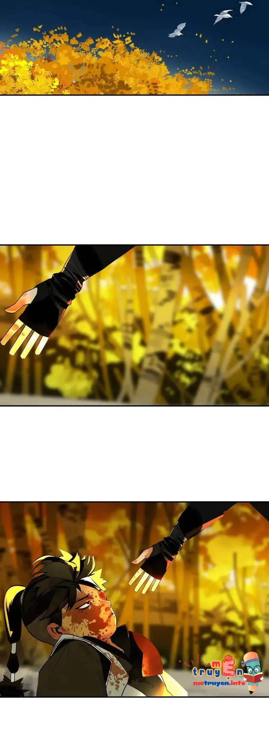 Vì Tinh Tú Bất Diệt Chapter 3 - 33