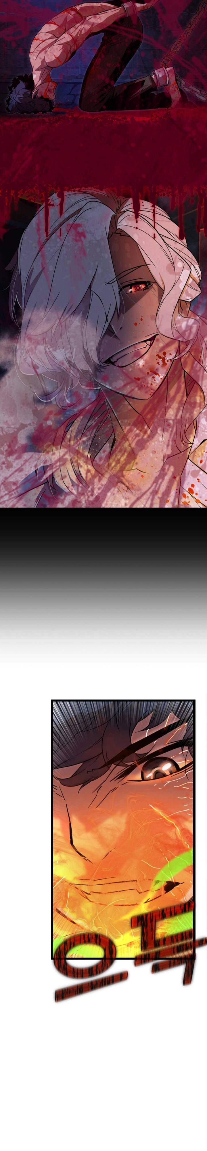 Người Thừa Kế Của Gia Tộc Suy Tàn Chapter 3 - 17