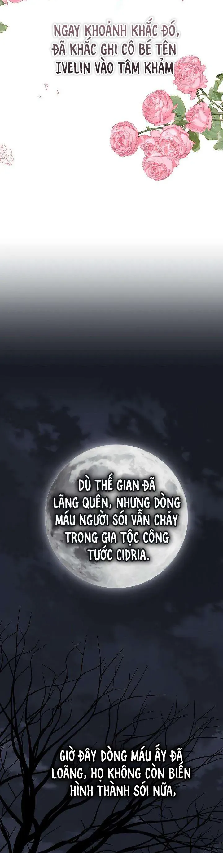 Đừng Đưa Bánh Quy Cho Con Sói Đang Đói Chapter 5 - 24