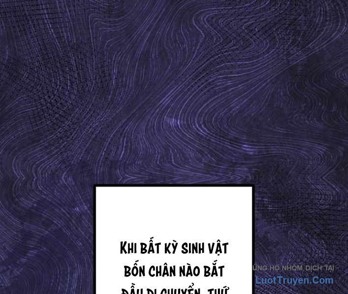 Tuyệt Thế Sát Thủ Hồi Quy Tại Học Viện Chapter 11 - 65