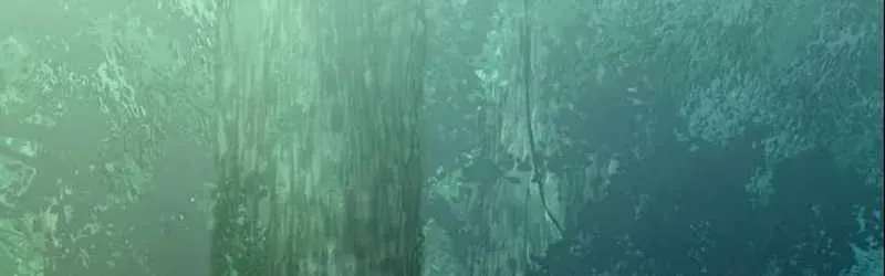 Tuyệt Thế Sát Thủ Hồi Quy Tại Học Viện Chapter 5 - 186