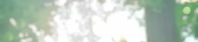 Tuyệt Thế Sát Thủ Hồi Quy Tại Học Viện Chapter 6 - 196