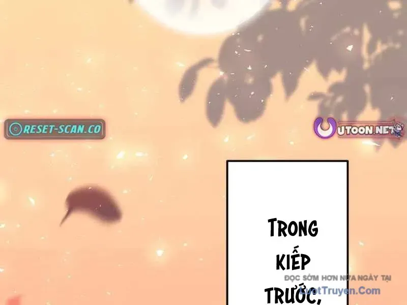 Tuyệt Thế Sát Thủ Hồi Quy Tại Học Viện Chapter 7 - 245