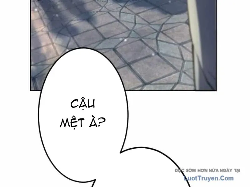 Tuyệt Thế Sát Thủ Hồi Quy Tại Học Viện Chapter 7 - 286