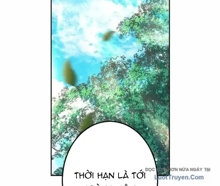 Tuyệt Thế Sát Thủ Hồi Quy Tại Học Viện Chapter 8 - 113