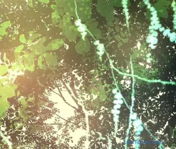 Tuyệt Thế Sát Thủ Hồi Quy Tại Học Viện Chapter 9 - 27