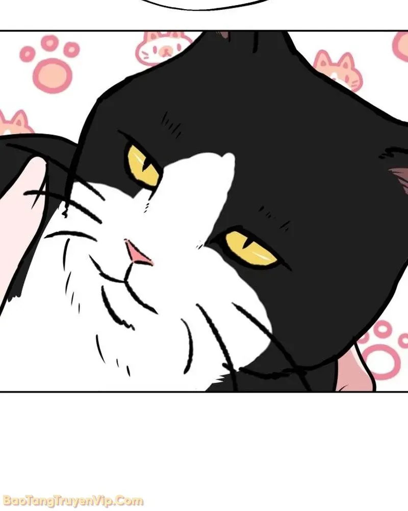 Dàn Harem Của Anh Bán Rong Chapter 2 - 48