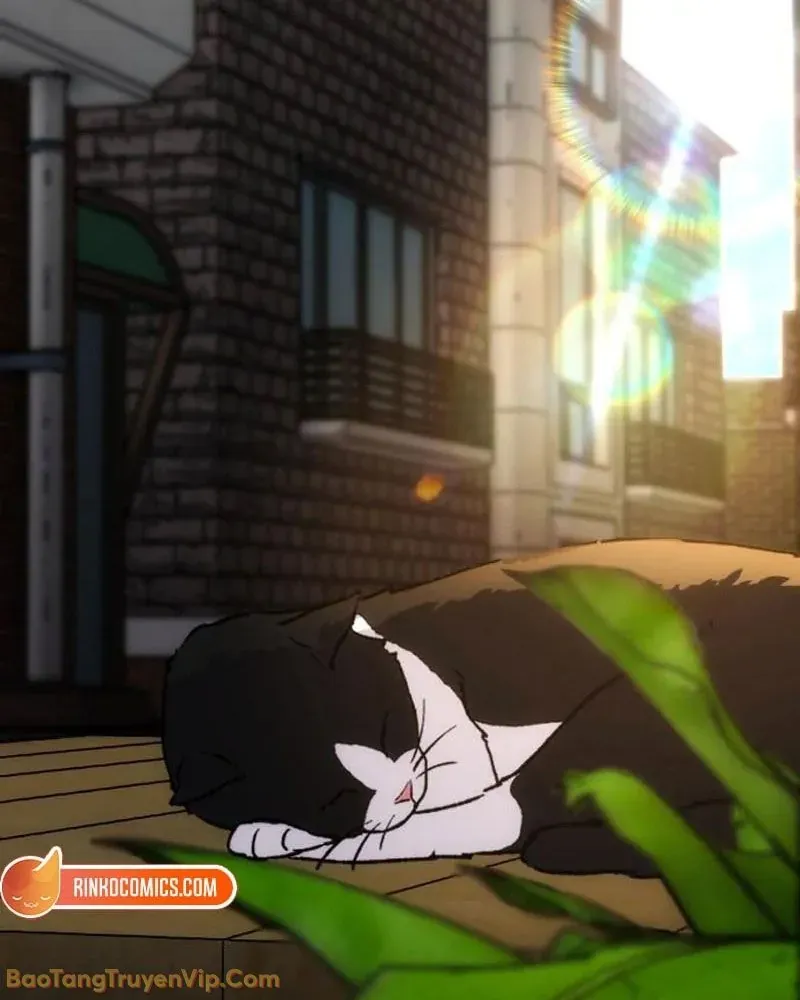 Dàn Harem Của Anh Bán Rong Chapter 4 - 135