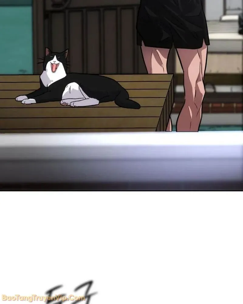 Dàn Harem Của Anh Bán Rong Chapter 4 - 138