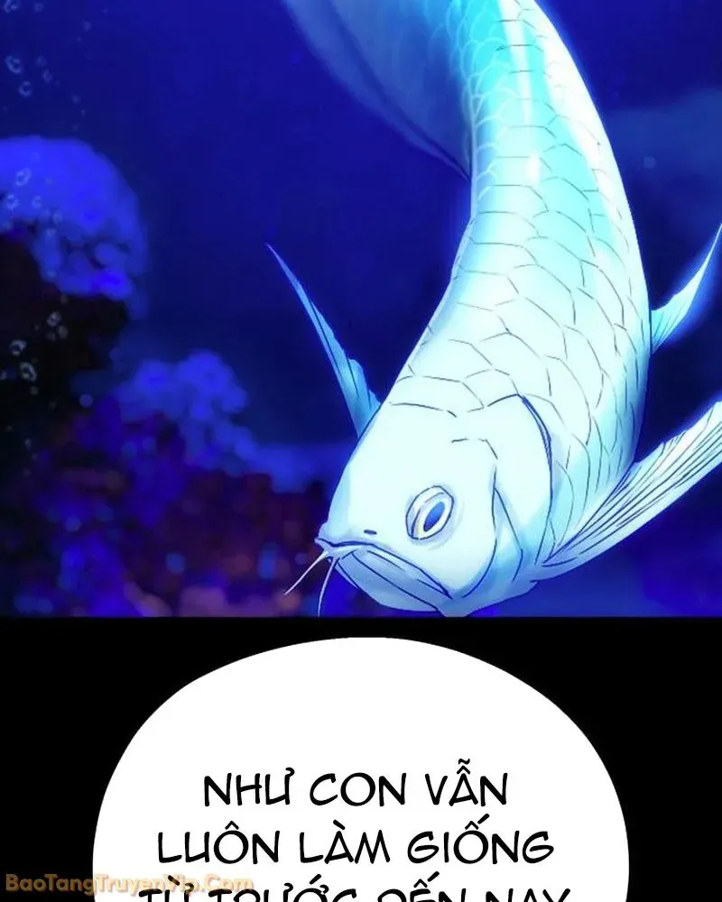 Dàn Harem Của Anh Bán Rong Chapter 4 - 80