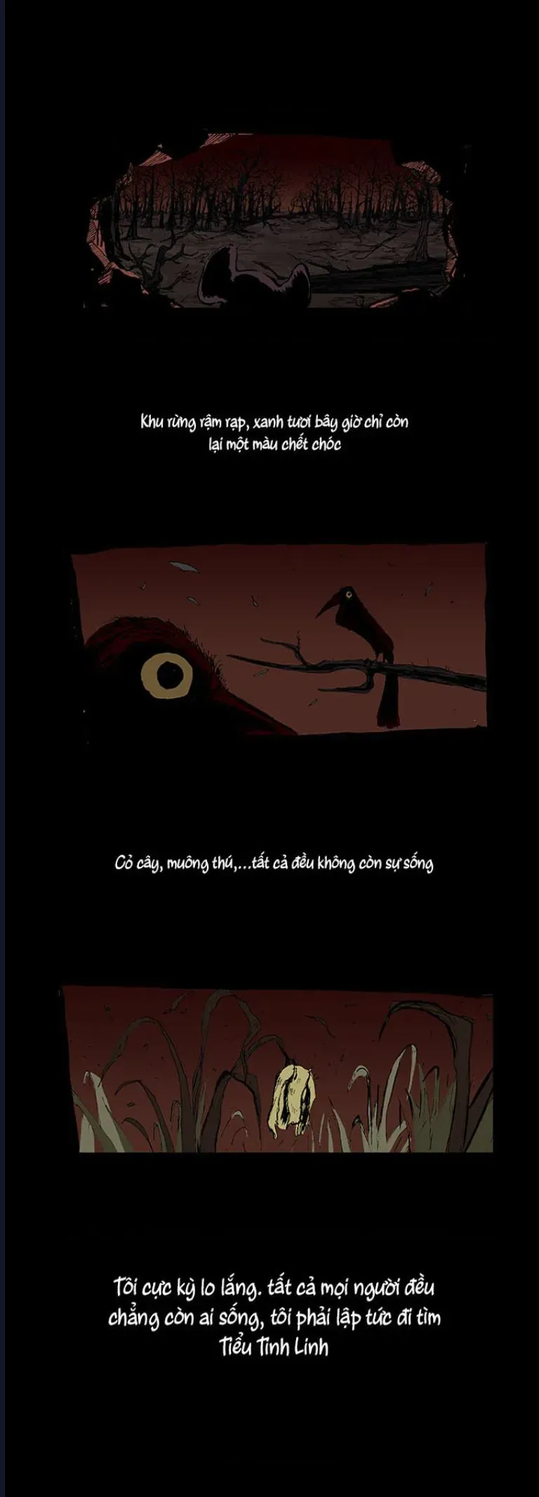 Lãng Khách - Đứa Con Của Bóng Tối Chapter 1 - 7