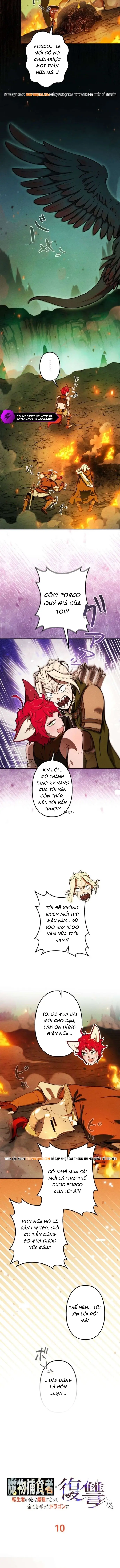 Tensei Shita Saikyo No Monsuta Kusha: Bokun Ryu E No Fukushu Chapter 10 - 13