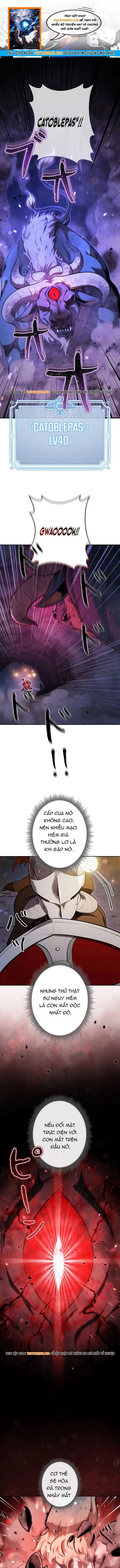 Tensei Shita Saikyo No Monsuta Kusha: Bokun Ryu E No Fukushu Chapter 29 - 1