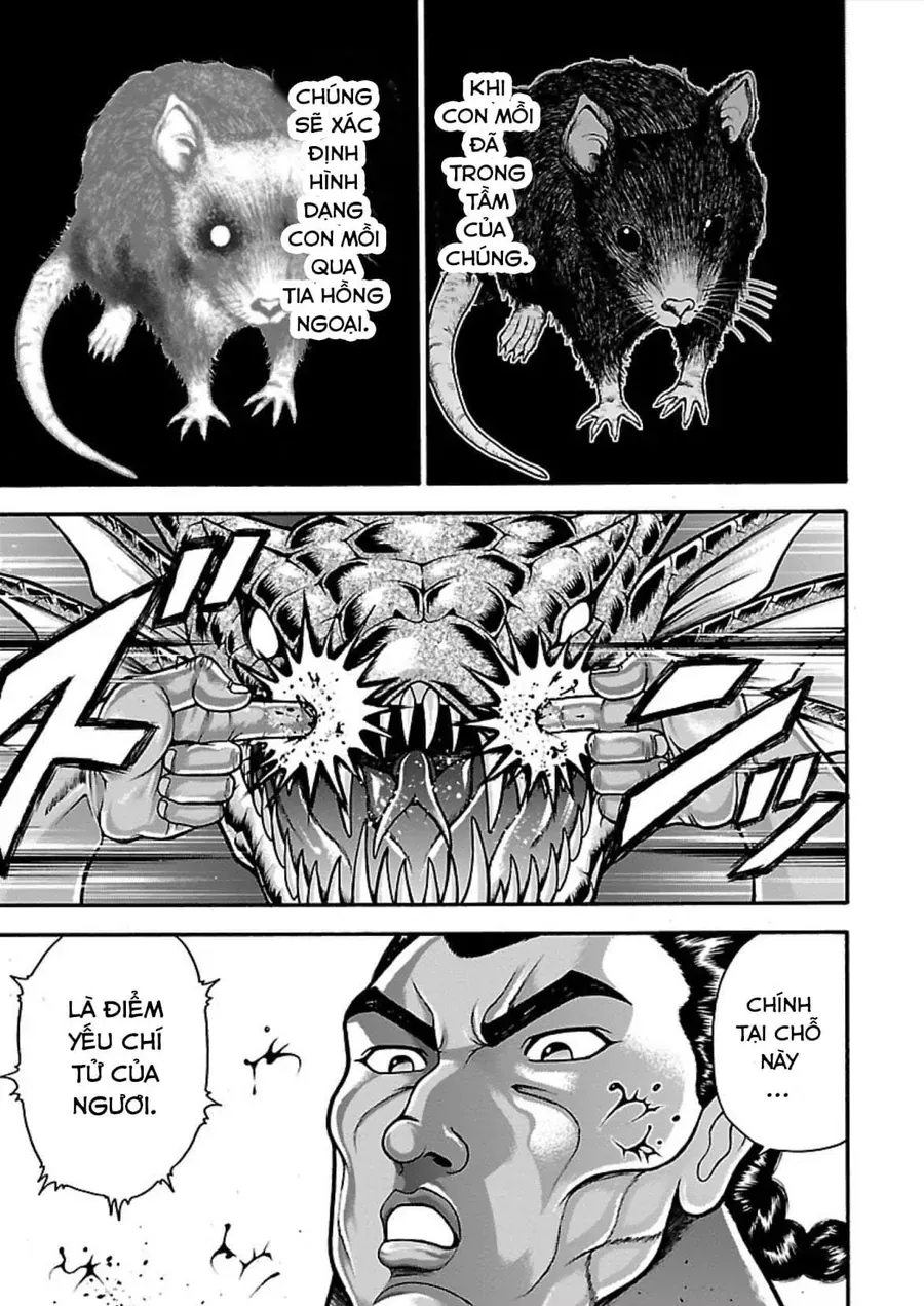 Baki Gaiden: Retsu Kaiou Wa Isekai Tensei Shitemo Ikkamawankou Ni Chapter 13 - 3