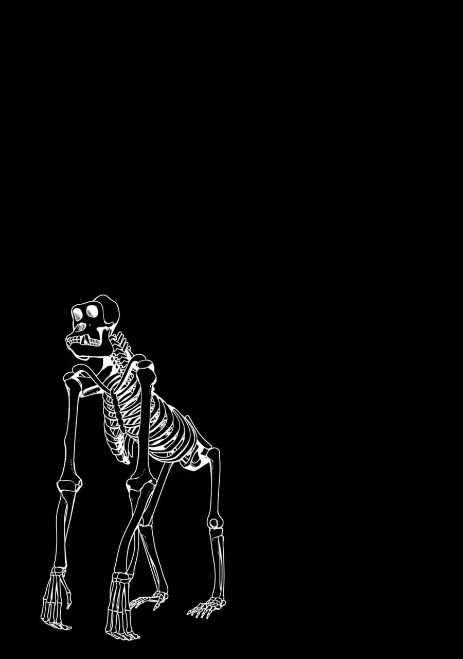 Hiền Giả Trở Thành Lich Chapter 34 - 96