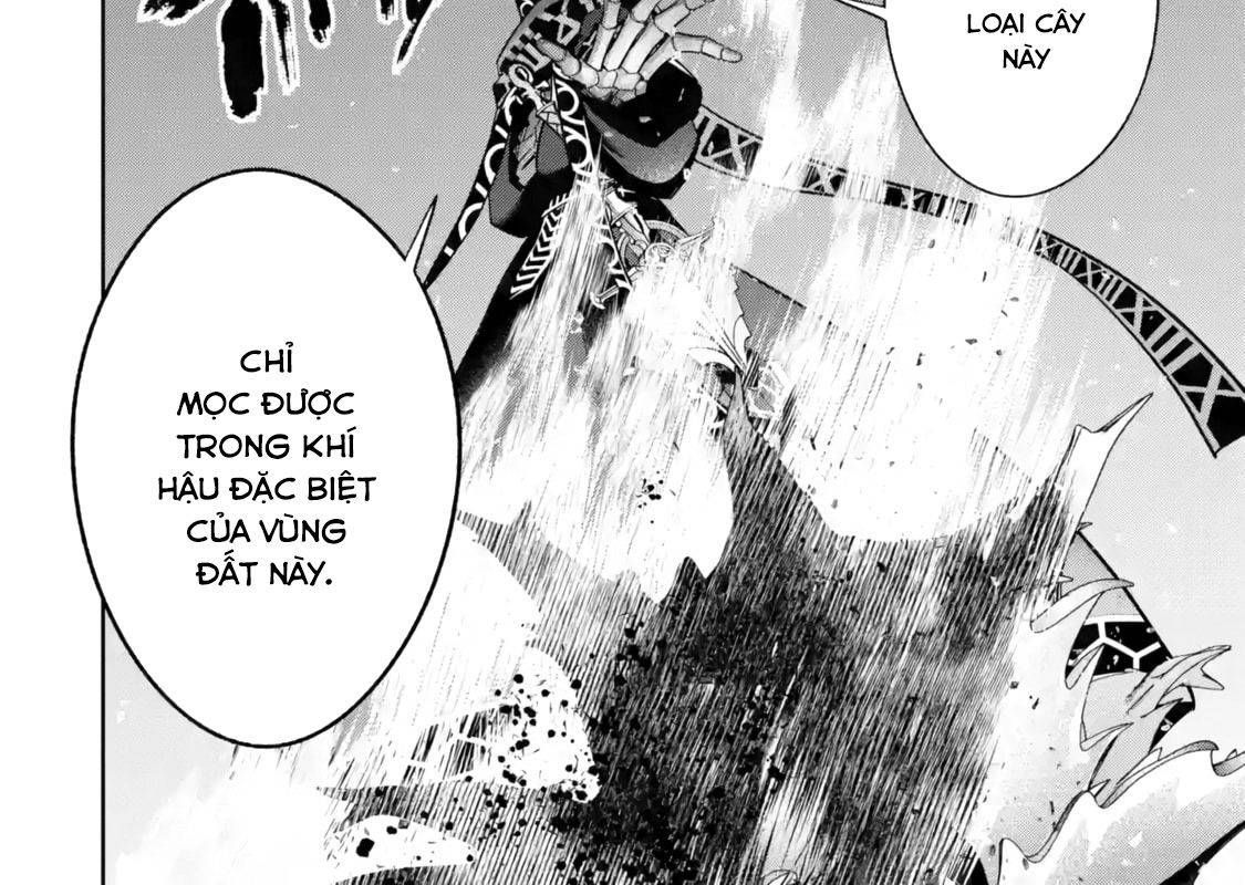 Hiền Giả Trở Thành Lich Chapter 50 - 33